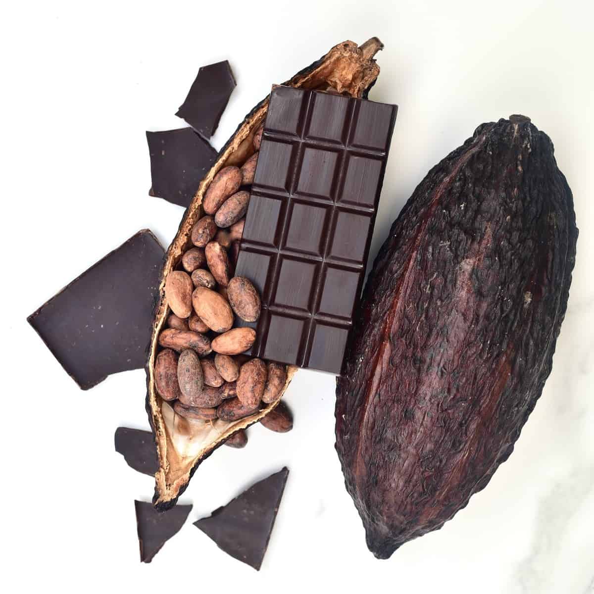 Mastering Bean to Bar: Craft Perfect Homemade Chocolate